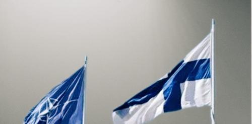 Горячие финские «попрошайки»