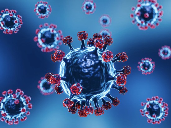 Изучены возможные варианты эволюции коронавируса: перспективы безрадостные