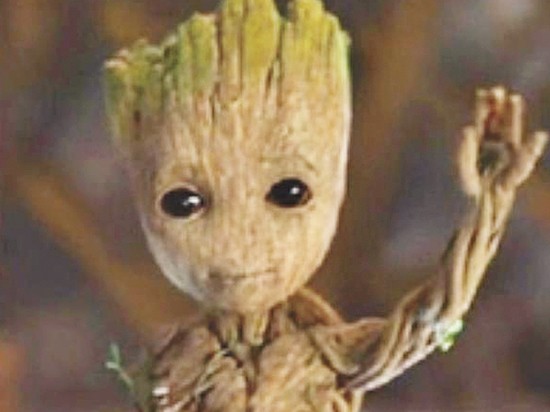 Растения «разговаривают» ультразвуком: российские ученые разъяснили суть сенсационного открытия