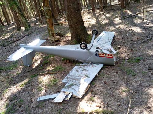 Сын Рогозина, экс-глава КБ «Илюшин» сообщил, что упавший в Подмосковье беспилотник перелетел Москву