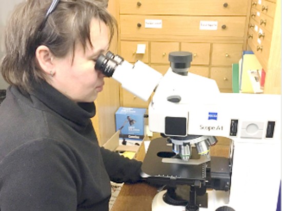 В Белоруссии нашли неизвестный ранее микроорганизм в форме шурупа