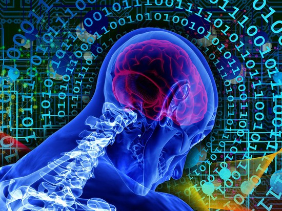 Илон Маск призвал разработчиков искусственного интеллекта «немедленно остановиться»