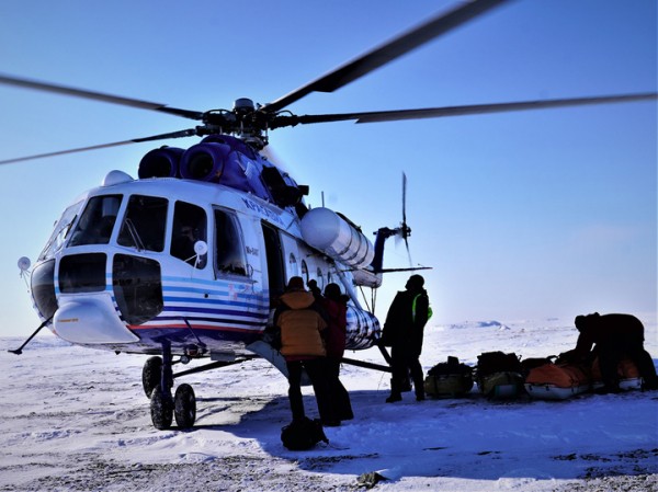 Белые медведи, том ям и оладьи из замерших яиц: как прошла уникальная Большая Арктическая экспедиция
