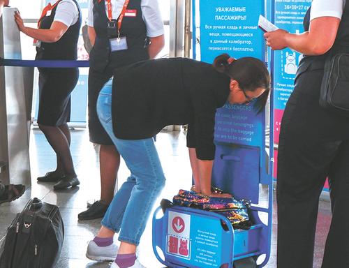 В России планируют изменить федеральные авиационные правила по провозу ручной клади