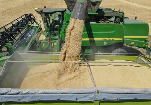 Лавров заявил, что Россия при необходимости сможет работать по экспорту зерна вне сделки, через Турцию и Катар Лавров заявил, что Россия при необходимости сможет работать по экспорту зерна вне сделки, через Турцию и Катар