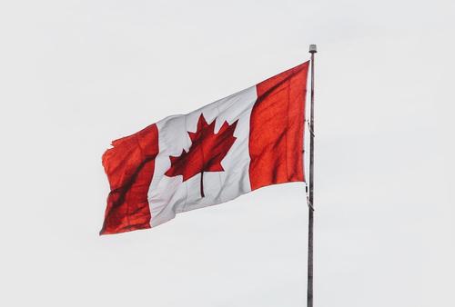 Посол ЮАР подверг критике Канаду за отсутствие поддержки мирных переговоров по Украине Посол ЮАР подверг критике Канаду за отсутствие поддержки мирных переговоров по Украине