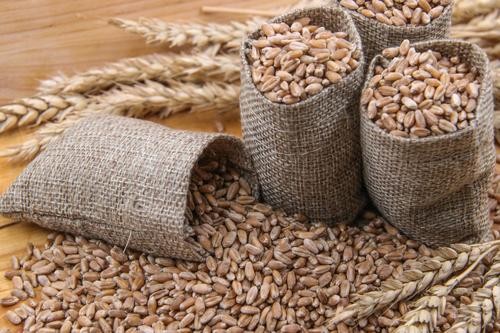 Кишинев передал Киеву о своих планах временно ограничить импорт украинского зерна