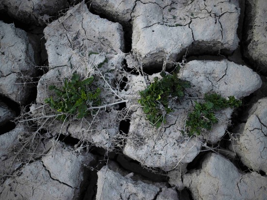 «Ползучая катастрофа»: ученые ошеломлены пересыханием озер во всем мире