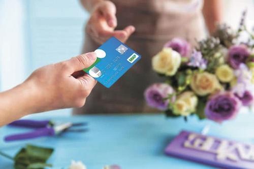 В Турции анонсировали запуск паромов в Сочи В Турции анонсировали запуск паромов в Сочи