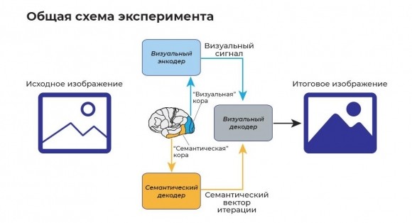 Новые технологии: чтение и управление вашими мыслями может привести к увольнению или суду Новые технологии: чтение и управление вашими мыслями может привести к увольнению или суду