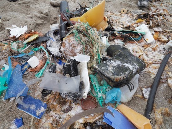 Найдены бактерии, способные переваривать пластик при низких температурах