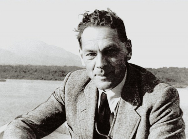 Позывной «Журавли»: разведка боем