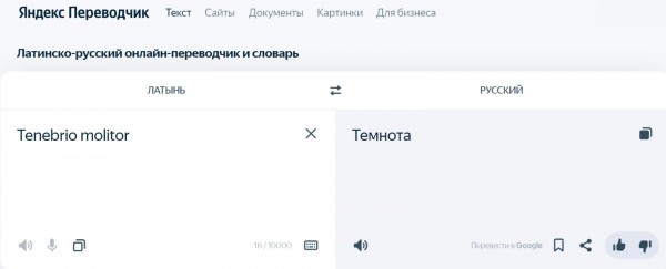 В России незаметно могут появиться хлеб, колбаса и даже пирожные из насекомых В России незаметно могут появиться хлеб, колбаса и даже пирожные из насекомых