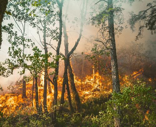В Курганской области количество погибших при пожарах увеличилось до двадцати одного