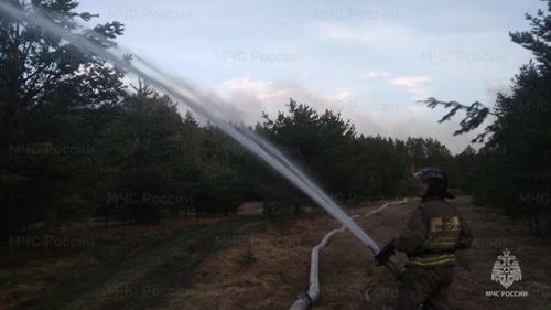 В Первомайском Свердловской области склады с порохом загорелись из-за лесного пожара В Первомайском Свердловской области склады с порохом загорелись из-за лесного пожара