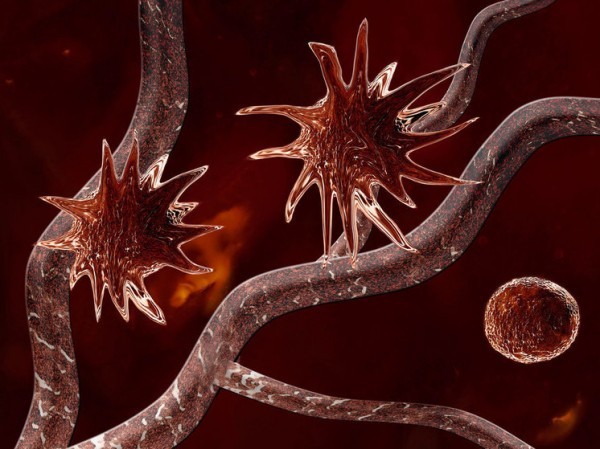 Ученые из Петербурга создали онкологическую теорию эволюции: как «подружиться» с раком