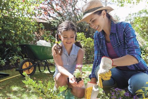 Работа на дачном участке может привести к травмам и недугам Работа на дачном участке может привести к травмам и недугам