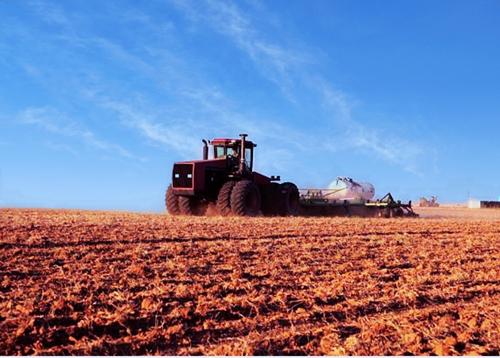 Зерно споткнулось об аммиак