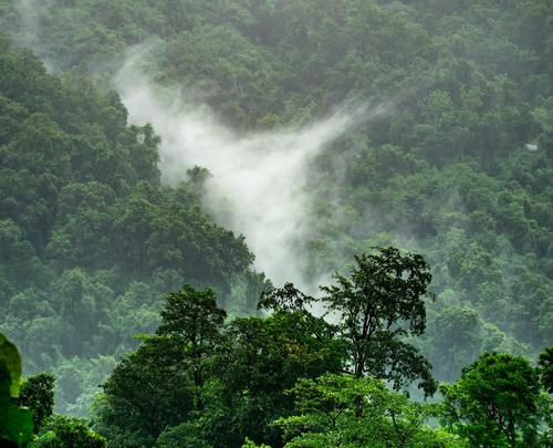 Президент Колумбии Петро сообщил, что четверо детей были найдены живыми через сорок дней после крушения самолета Cessna 206 Президент Колумбии Петро сообщил, что четверо детей были найдены живыми через сорок дней после крушения самолета Cessna 206