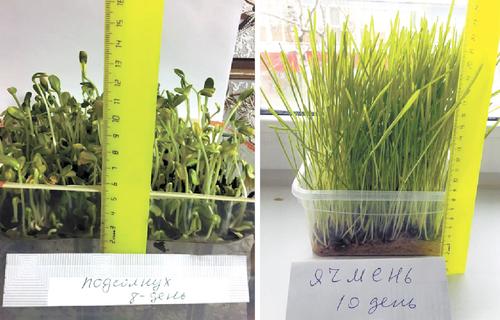 Рецепт органического хозяйствования Рецепт органического хозяйствования