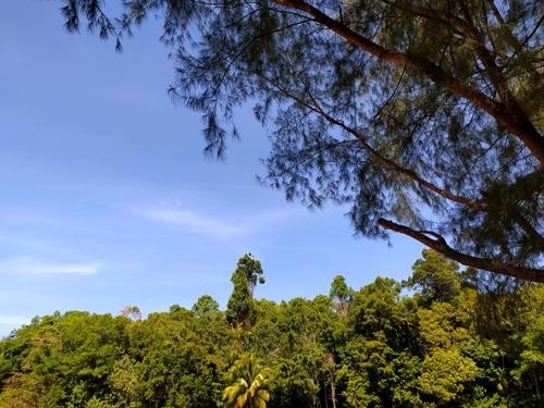 В Колумбии четверых детей, которые провели 40 дней в джунглях после крушения самолета, обследуют врачи в госпитале