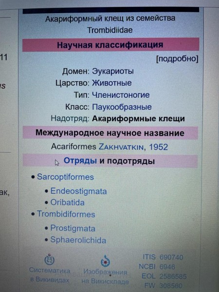 Щит Родины в красных клещах Щит Родины в красных клещах