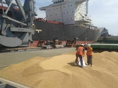 Кремль пошёл на зерновую сделку – хотел как лучше, а получилось, как всегда