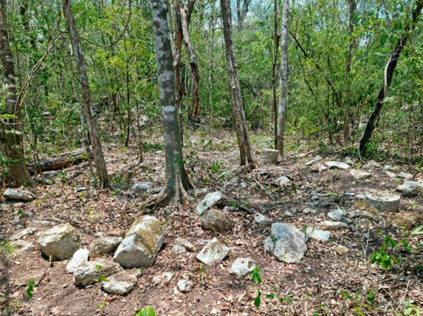 Затерянный город древней цивилизации майя обнаружен в джунглях