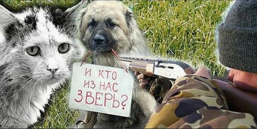 Люди, вы хуже животных