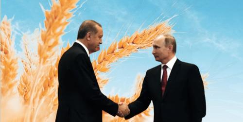 Зерновой цугцванг