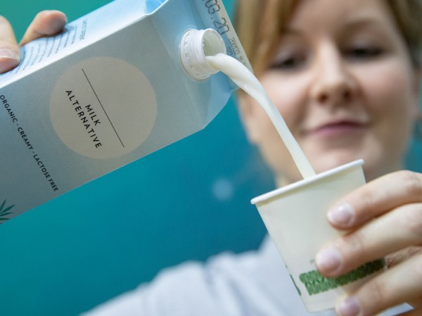 Исследователи рассказали о плюсах и минусах растительного молока