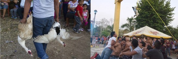 Люди, вы хуже животных