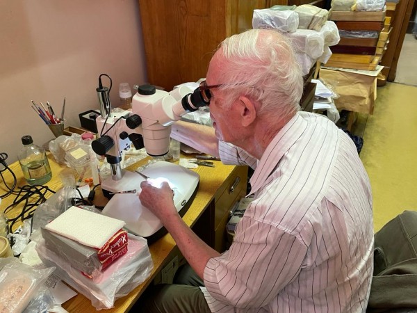 Щит Родины в красных клещах Щит Родины в красных клещах