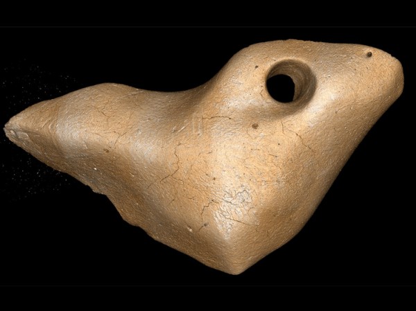 Украшения из гигантских ленивцев изменили представления ученых о древних людях