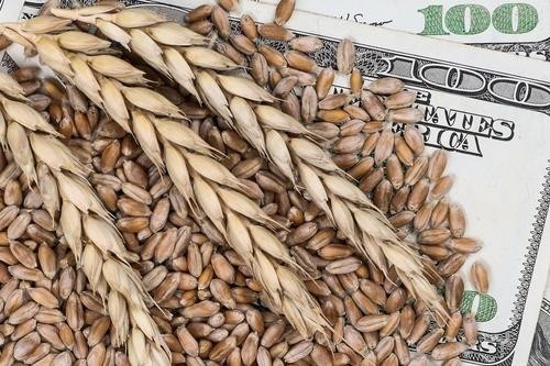 Источник сообщил РИА Новости, что ООН хочет продлить «зерновую сделку» минимум на два месяца