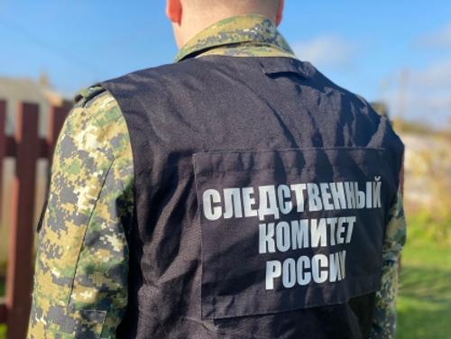 Прокуратура установила, что алкоголь попавшим в больницу в Первоуральске подросткам в магазине купила 20-летняя девушка Прокуратура установила, что алкоголь попавшим в больницу в Первоуральске подросткам в магазине купила 20-летняя девушка