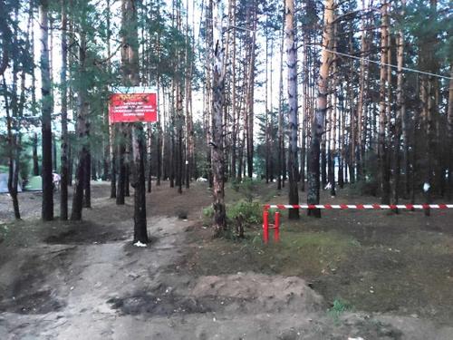 В Марий Эл восемь человек погибли в результате падения деревьев из-за урагана В Марий Эл восемь человек погибли в результате падения деревьев из-за урагана