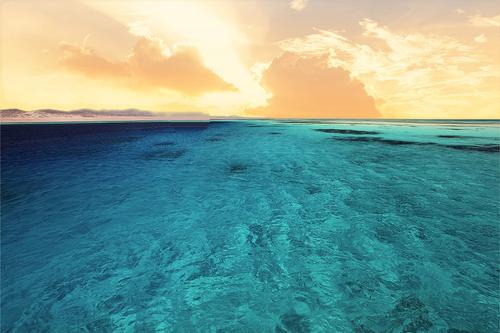 Аравийские посиделки Аравийские посиделки