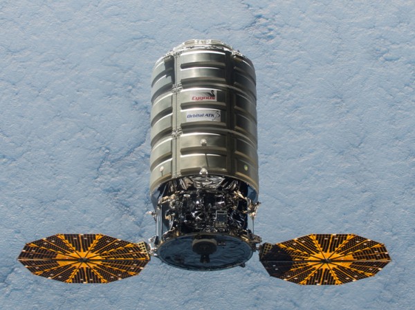 На МКС привезли стволовые клетки для выращивания мозгов