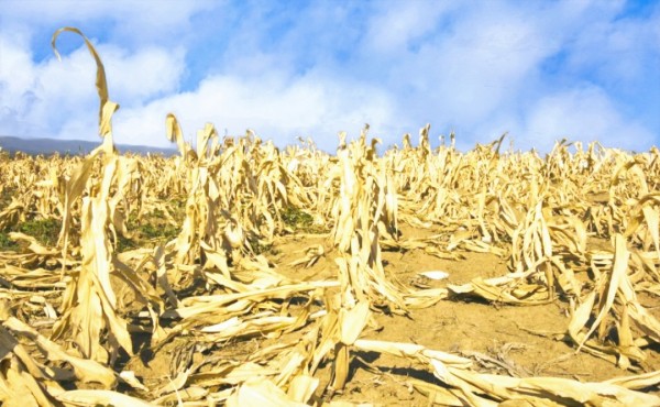 Путин таки шваркнул Запад Путин таки шваркнул Запад