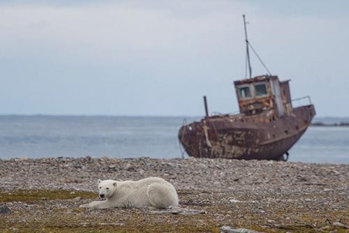 Сергей Шойгу на Новой Земле проверил состояние ядерного полигона  Сергей Шойгу на Новой Земле проверил состояние ядерного полигона