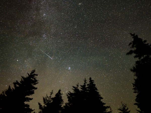 Сотрудник Пущинской обсерватории рассказал, что ждать от предстоящего метеорного дождя
