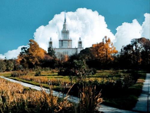 Фотовыставка фауны российской Арктики открылась в Ботаническом саду МГУ