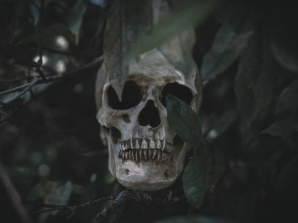 Найденный в Китае невиданный череп смутил ученых: «Новая ветвь генеалогического древа»