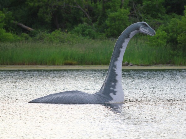 Лох-Несское чудовище: подготовлена крупнейшая за полвека поисковая операция