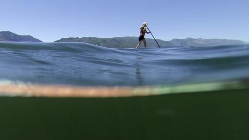 В море у Ялты случайно спасли любителей ночного купания