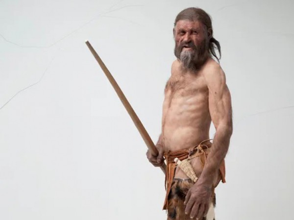 Генетики восстановили облик мумии Ледяного человека