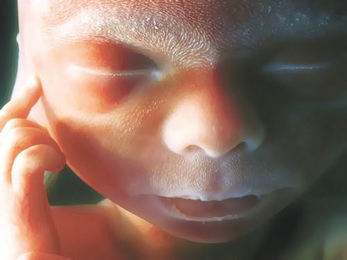 Профессор РНИМУ Ирина Силуянова об абортах: «Наш правовой регулятор аморален и антинаучен» Профессор РНИМУ Ирина Силуянова об абортах: «Наш правовой регулятор аморален и антинаучен»