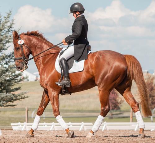 Baza: в Калининграде конюх похитил девушку и пытался вывезти к себе в Узбекистан