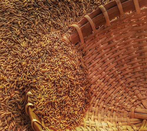 Блинкен утверждает, что обещанного Россией странам Африки бесплатного зерна недостаточно Блинкен утверждает, что обещанного Россией странам Африки бесплатного зерна недостаточно